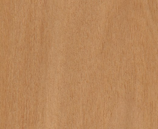 Blackbutt L TrueScale